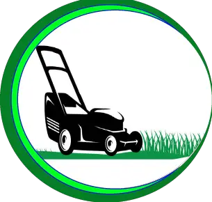 Best lawn mower Electric