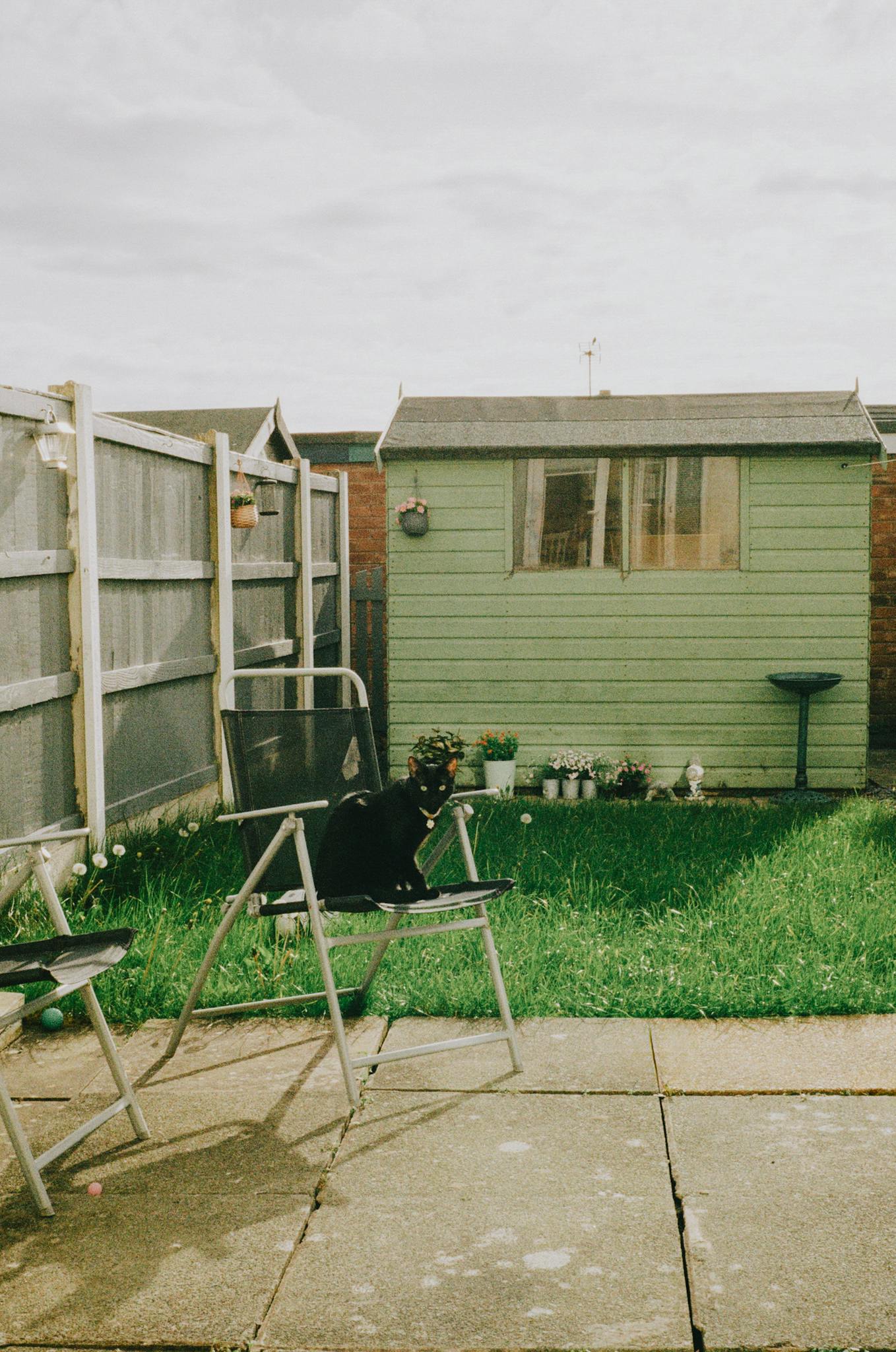 Cozy backyard with chairs, green grass, and a shed under soft sunlight.