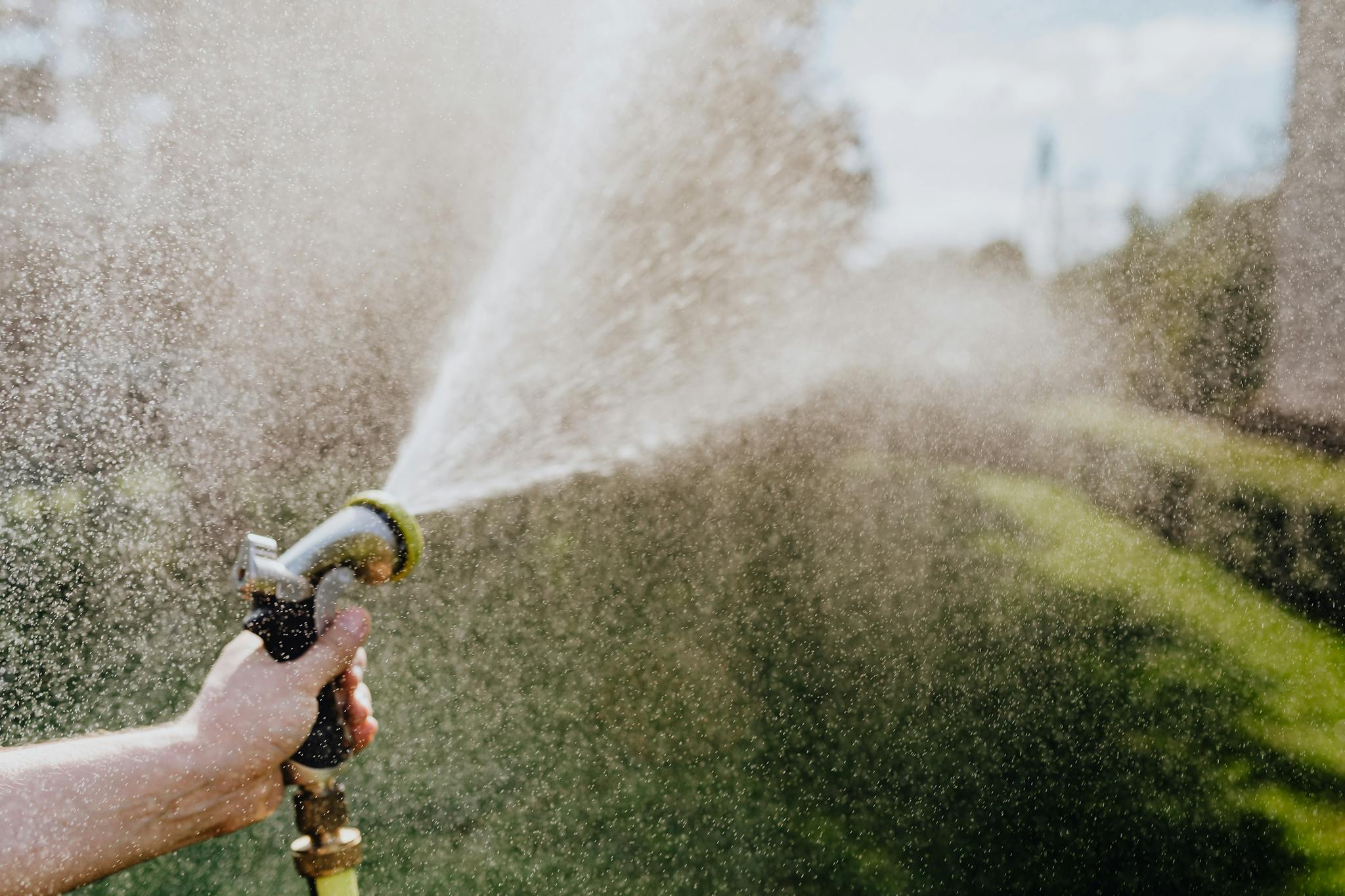 Hand holding a garden hose spraying water onto a green lawn outdoors, capturing summer gardening.